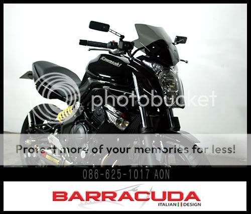 BARRACUDA1.jpg