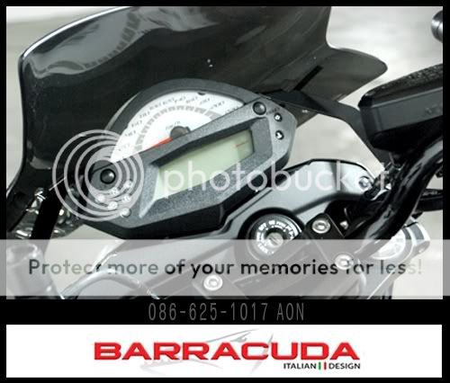 BARRACUDA5.jpg