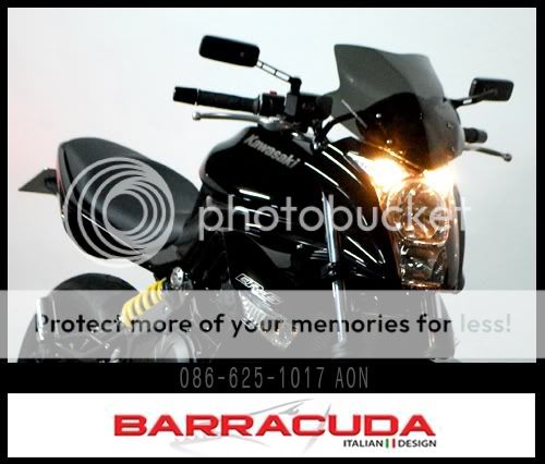BARRACUDA6.jpg