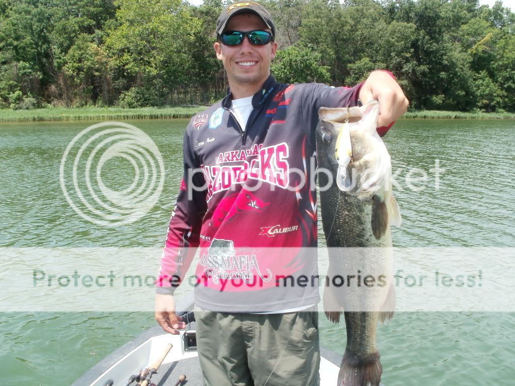 Lower Illinois River, OK Stripers/Tenkiller Lake/Lake Eucha Largemouth