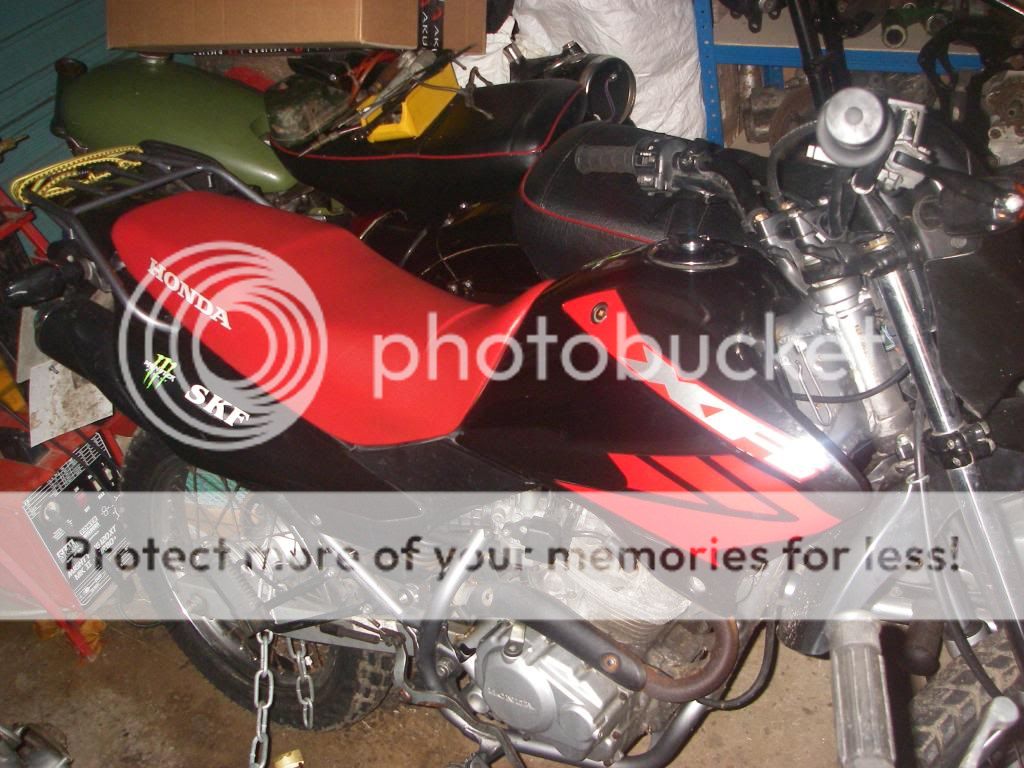 Posted Image